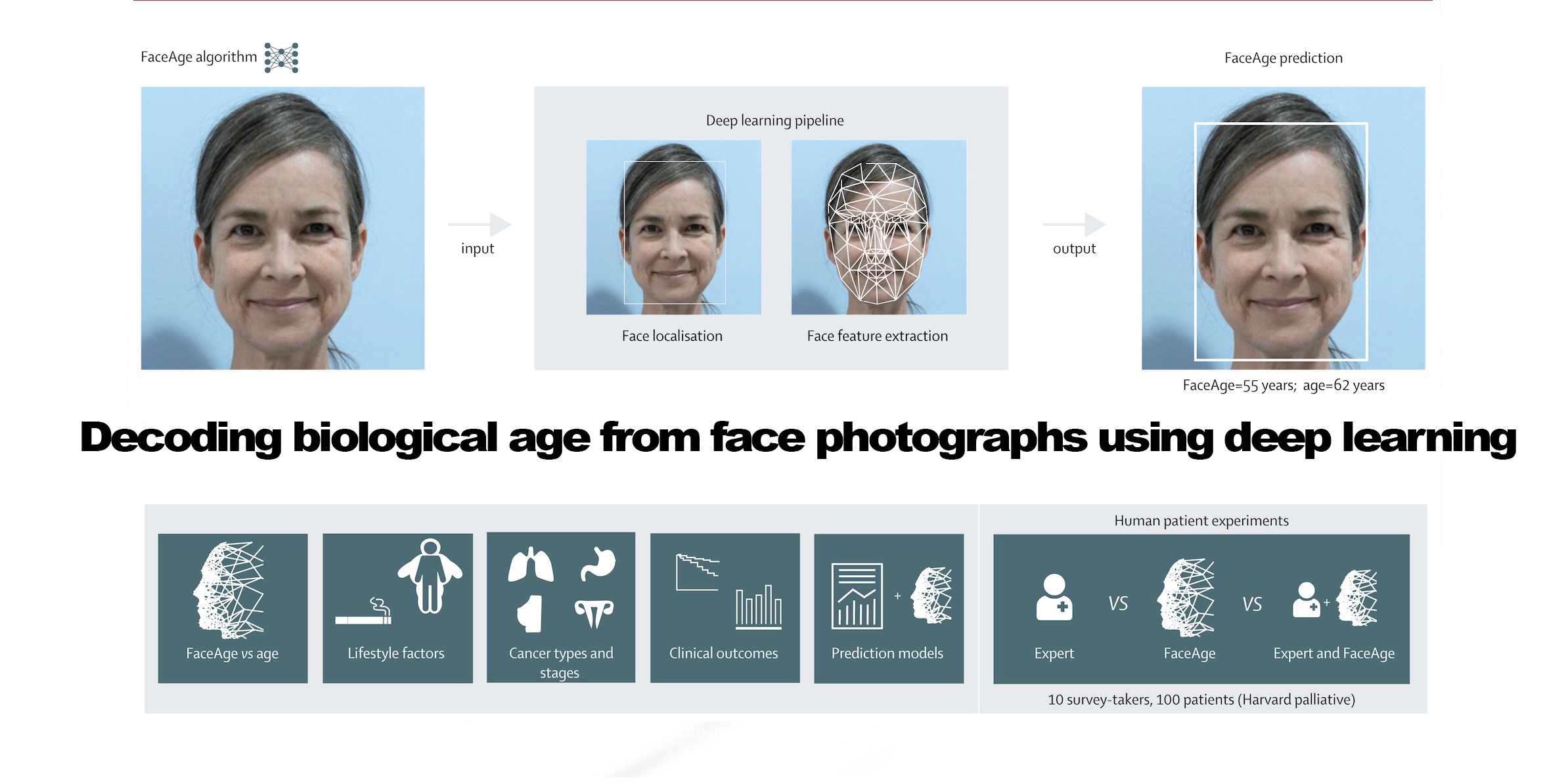 AI Algorithm FaceAge That Can See Your Biological Age and Predict Cancer Outcomes