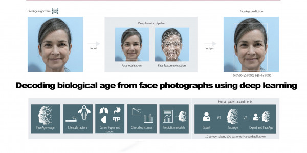 AI Algorithm FaceAge That Can See Your Biological Age and Predict Cancer Outcomes